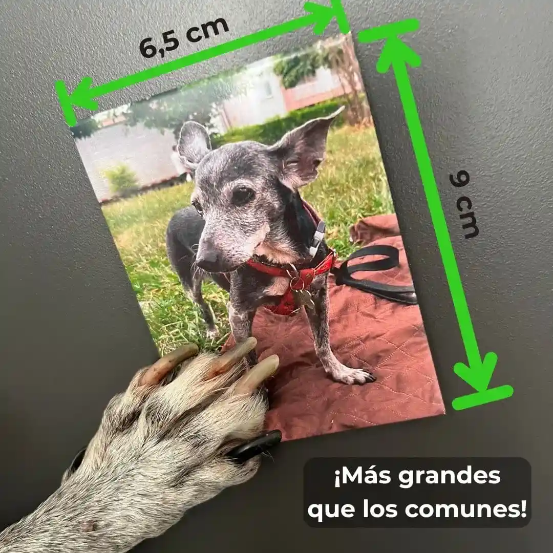 imanes personalizados